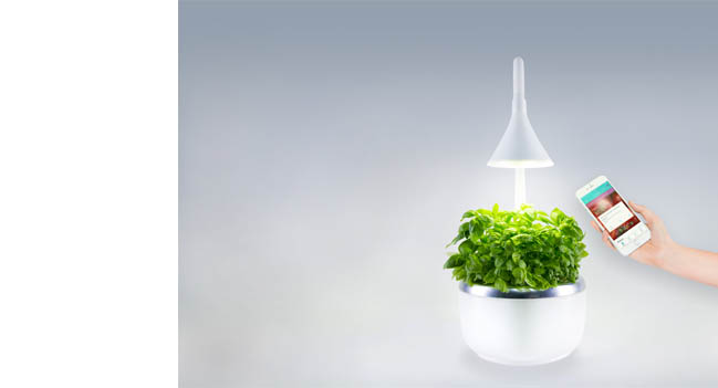 SPROUTSIO
