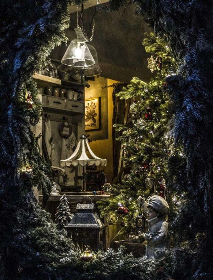 Il nido delle farfalle