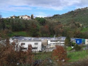 Cinelli Piume e Piumini