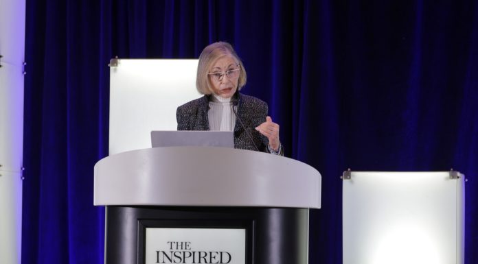 Silenzio, natura e gioia: i colori del 2027 secondo Pantone