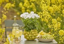 Tavola estiva: un’esplosione di colori