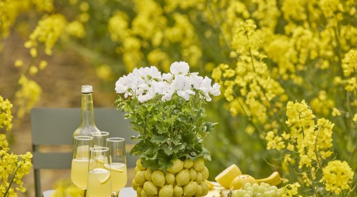 Tavola estiva: un’esplosione di colori